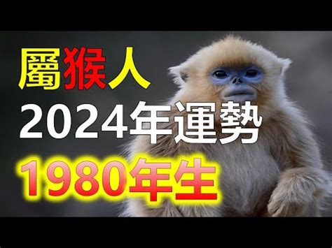 1980年五行|1980年属猴的人五行是金还是木命